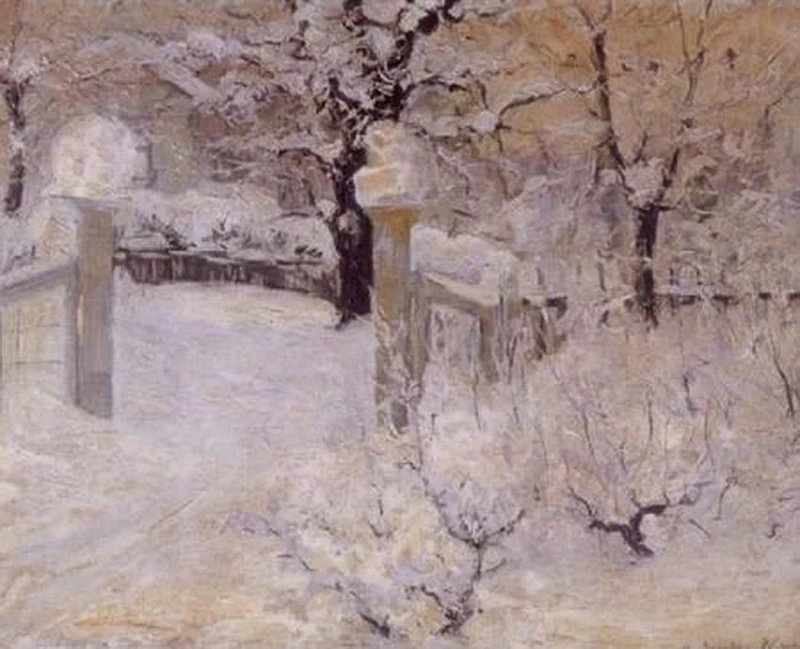 Neve in giardino